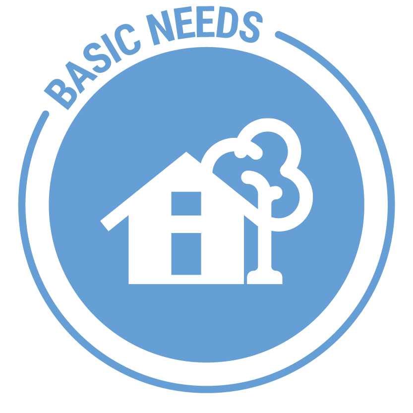 Basic Needs Initiative Logo