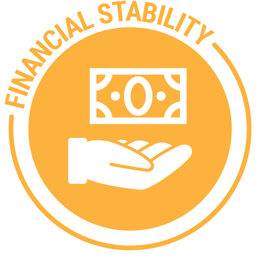 Financial Stability Initiative Logo